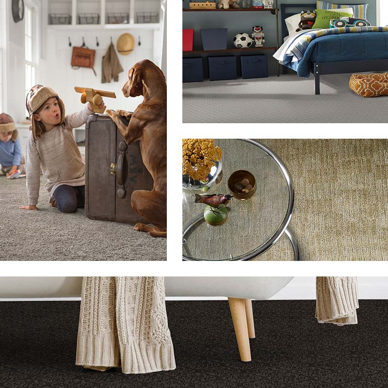 petdefense collection