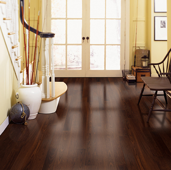 A home entryway featuring highly reflective, dark exotic hardwood flooring that leads toward double glass doors