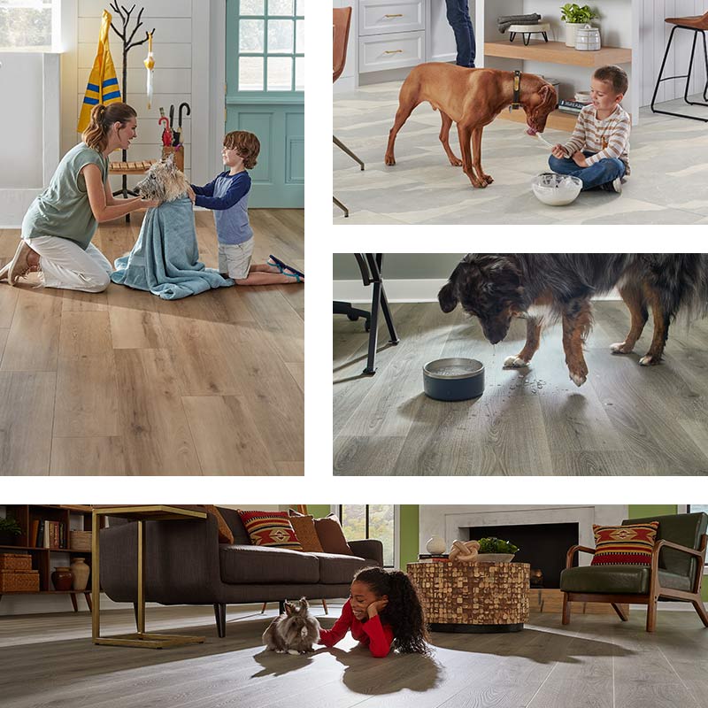 Available protection and warranty terms vary by manufacturer, product, collection, and style. Ask your flooring professional about petdefense flooring options and the specific warranty protection available for the product you choose.