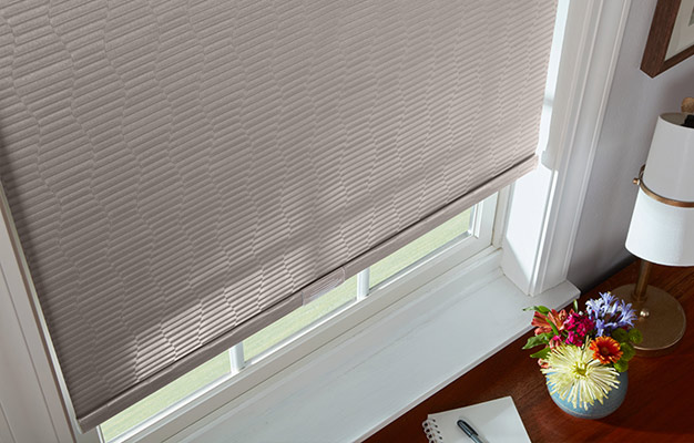 roller shades rs1 | America's Carpet Barn